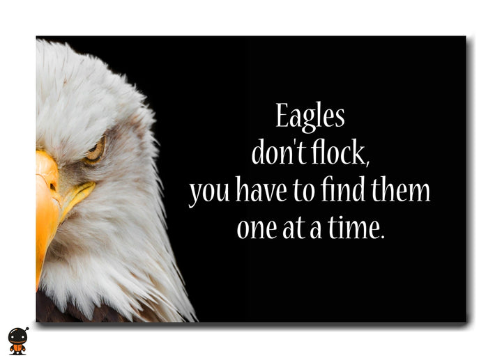 Eagles Don’t Flock - The Pursuit of Excellence