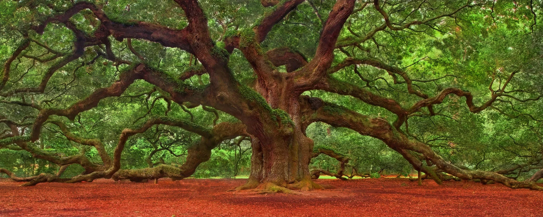 Ancient Majesty - Premium Wall Art