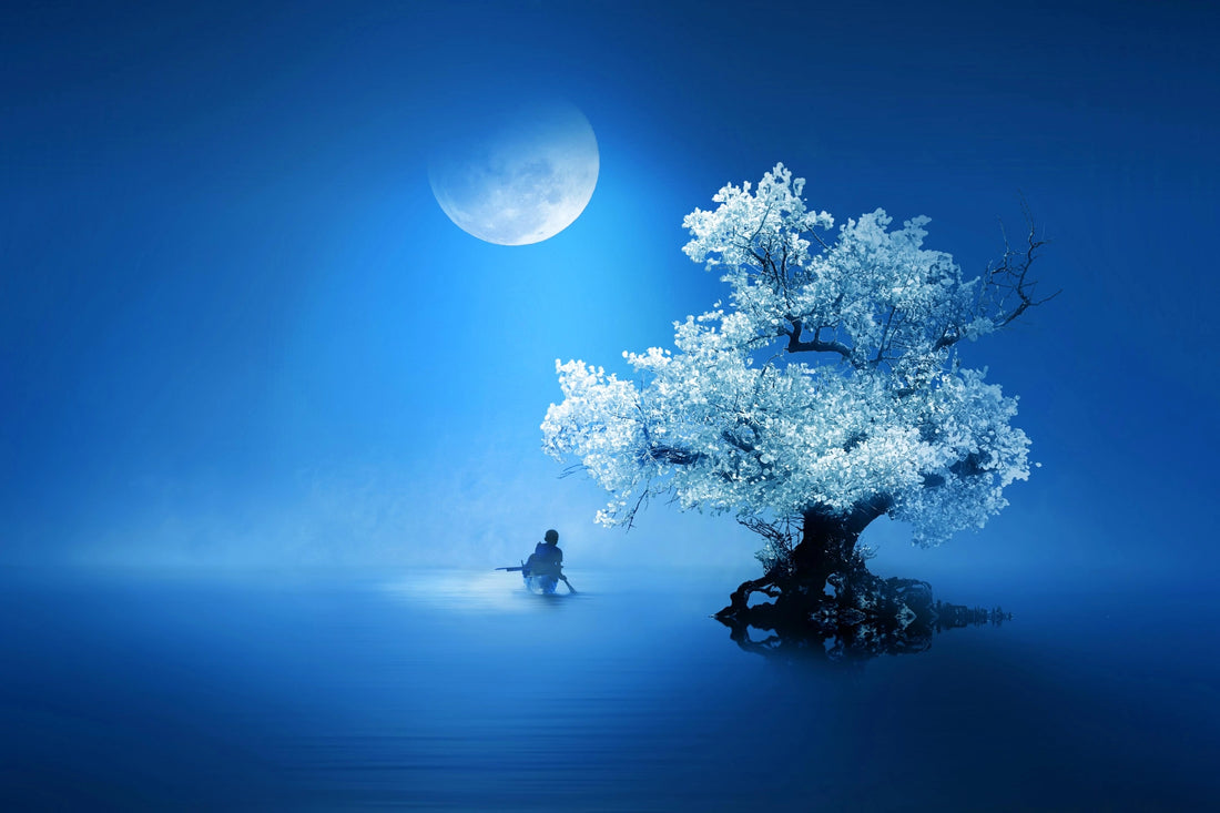 Lunar Reflection - Premium Wall Art