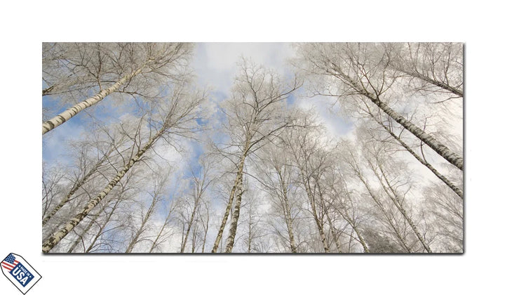 Winter Birch Grove - Premium Wall Art
