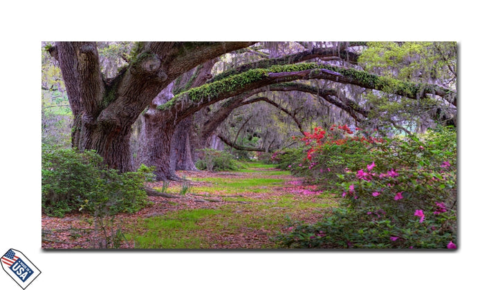Enchanted Garden Path - Premium Wall Art