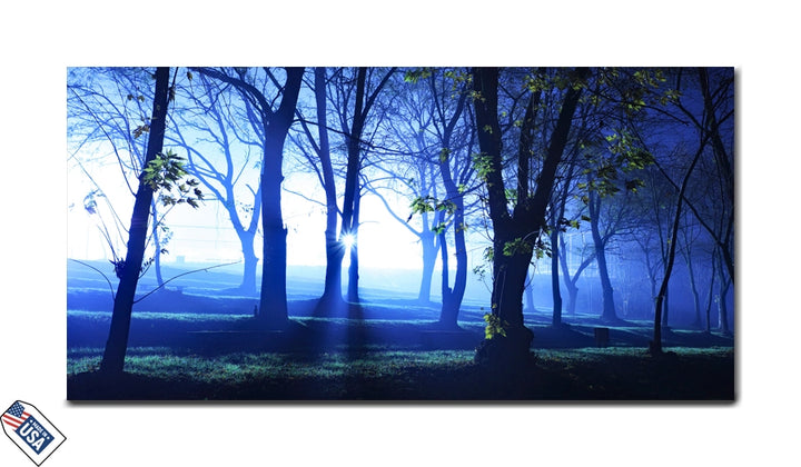 Moonlit Forest Glow - Premium Wall Art