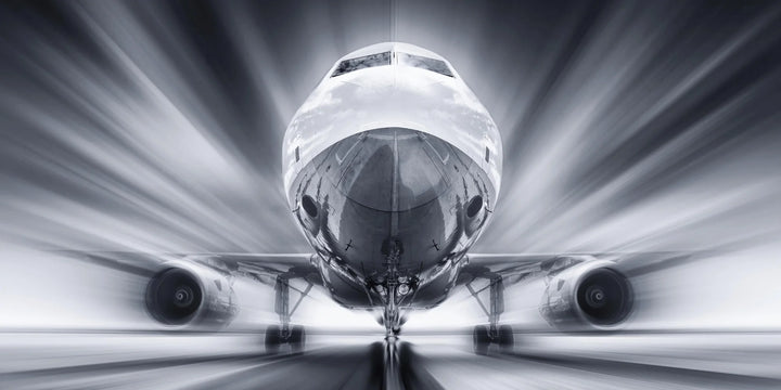 Dynamic Flight - Premium Wall Art