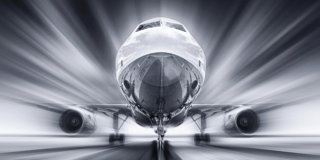 Dynamic Flight - Premium Wall Art