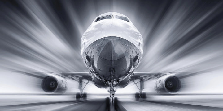 Dynamic Flight - Premium Wall Art