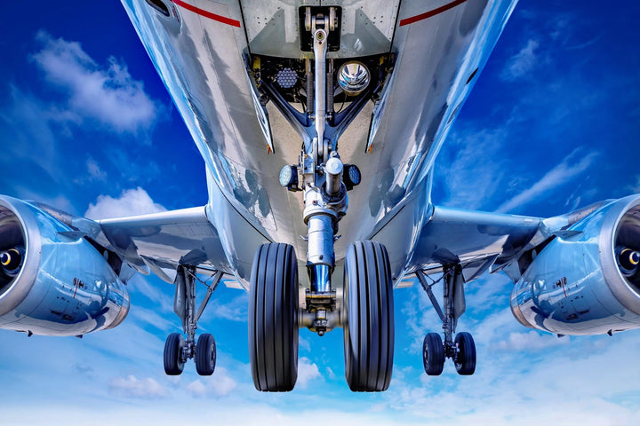 Under the Wings - Premium Wall Art