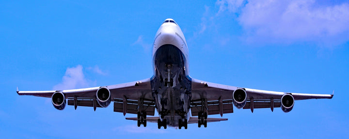 Soaring High - Premium Wall Art