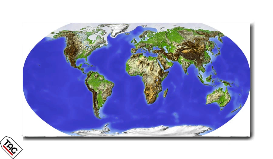 World Topographic Map - Educational & Decorative Wall Art