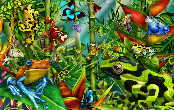 Rainforest Frogs - Vibrant Wall Art