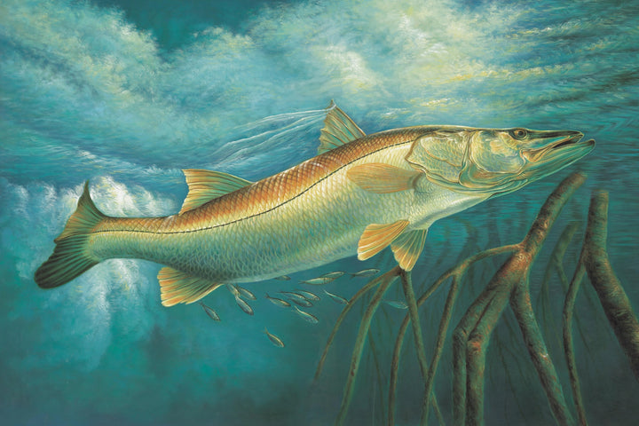 Majestic Snook in Mangroves - Coastal Wall Art