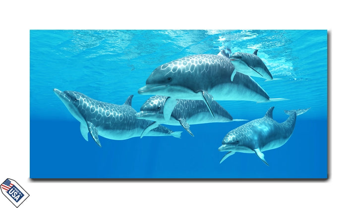Graceful Dolphins - Ocean Bliss Wall Art
