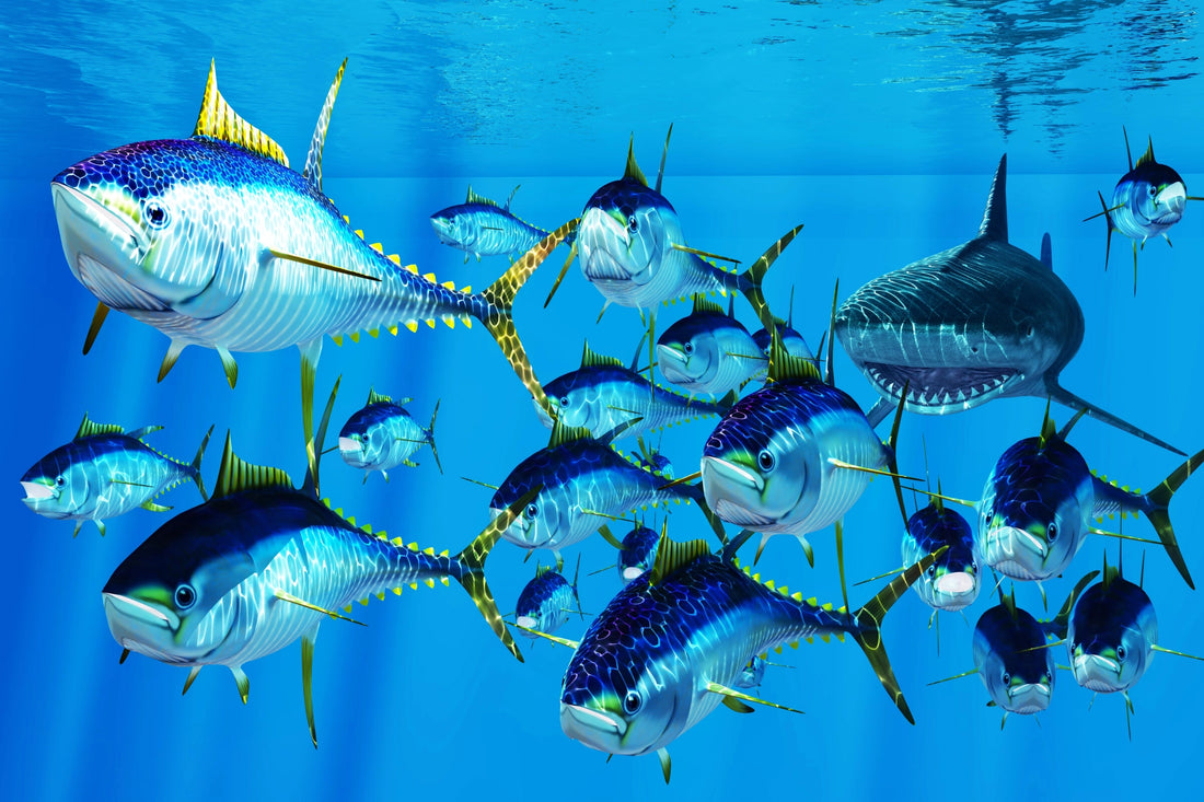 Majestic Tuna Swim - Oceanic Wall Art