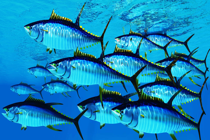 School of Yellowfin Tuna - Vibrant Ocean Wall Art