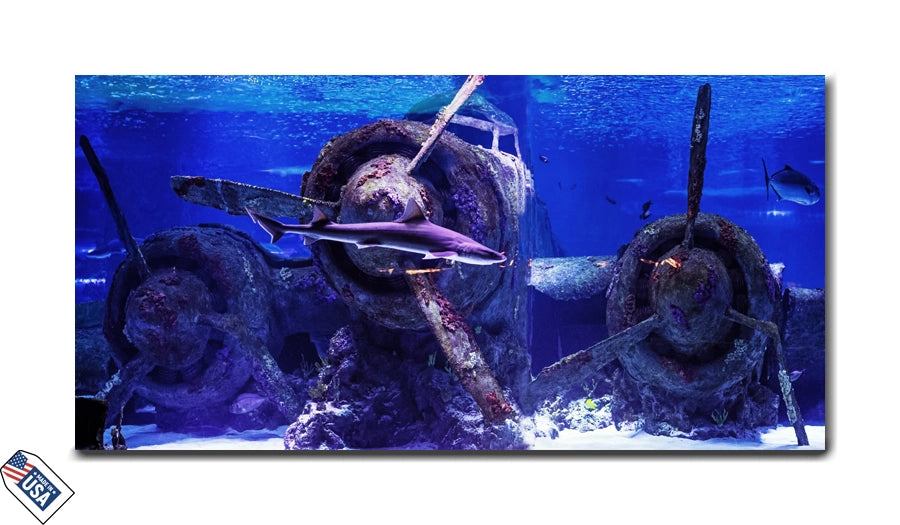 Depths of Mystery - Shark and Sunken Plane Wall Art