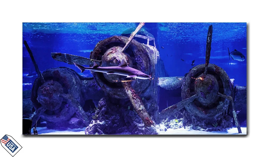Depths of Mystery - Shark and Sunken Plane Wall Art