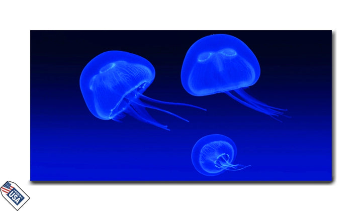 Illuminated Grace - Glowing Jellyfish Wall Art