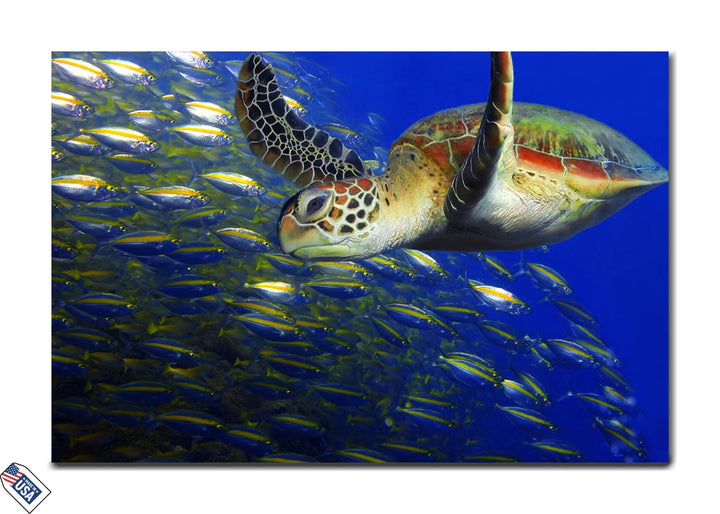 Graceful Turtle and Fish Shoal - Underwater Symphony Wall Art