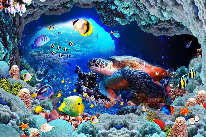 Ocean Paradise - Vibrant Marine Life Wall Art