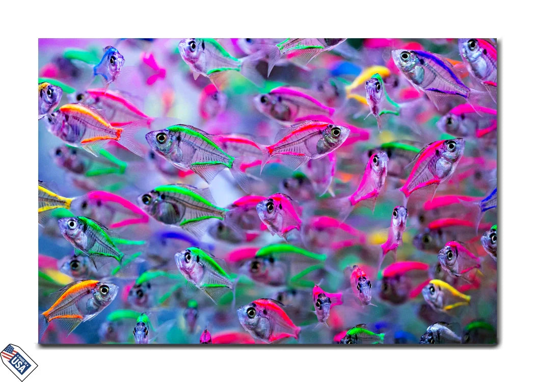 Neon Tetras Wonderland - Vibrant Tropical Fish Wall Art