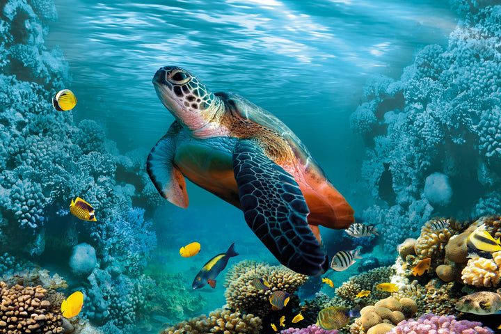 Graceful Sea Turtle - Vibrant Coral Reef Wall Art