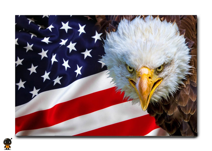 Pride of the Nation – The Bald Eagle and the Flag