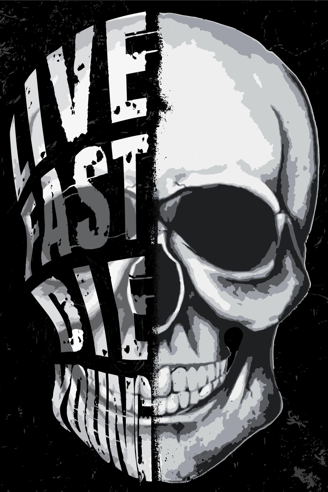 Live Fast, Die Young - Premium Wall Art