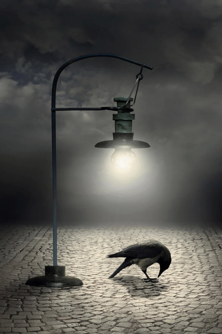 Solitary Light - Premium Wall Art