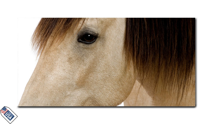 Gentle Gaze - Close-Up Elegance