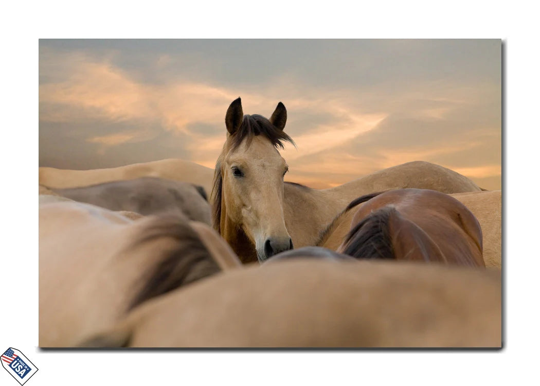 Gentle Focus - A Moment of Equine Serenity