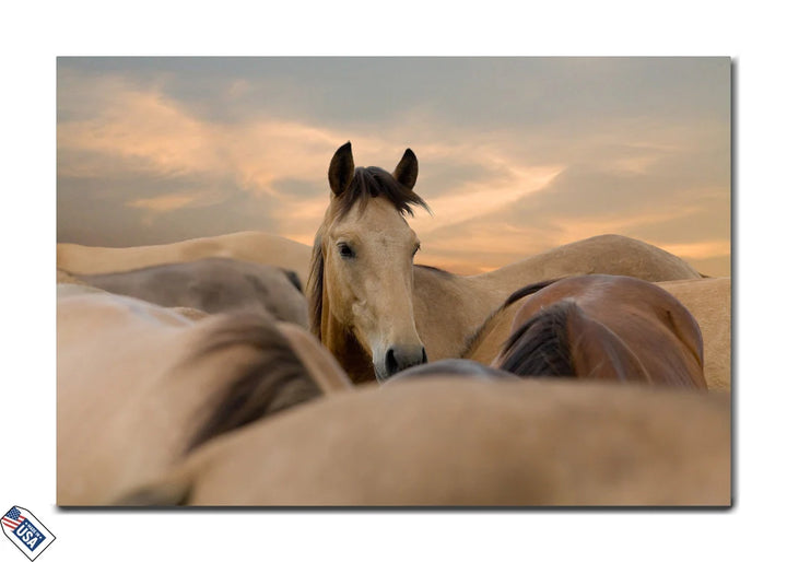 Gentle Focus - A Moment of Equine Serenity