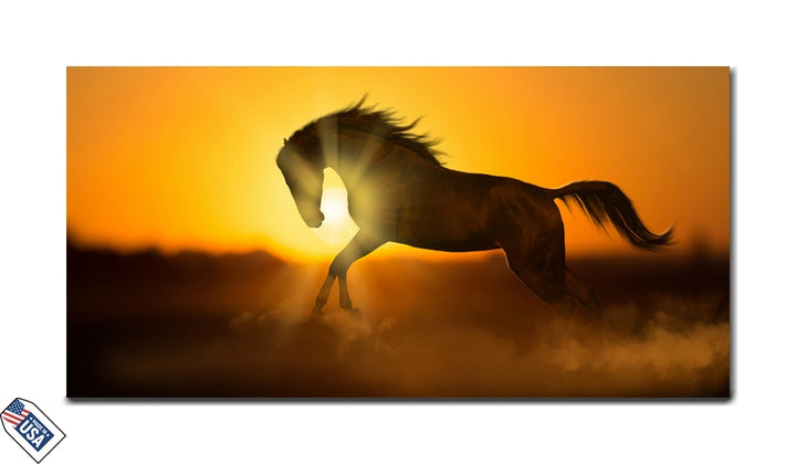 Golden Gallop - Spirit of the Wild
