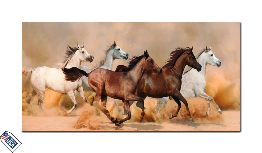 Desert Sprint - The Beauty of Unity