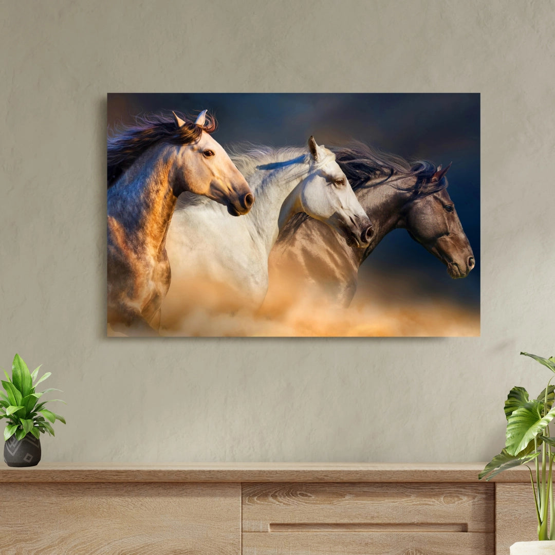 Galloping Grace - Trio of Freedom