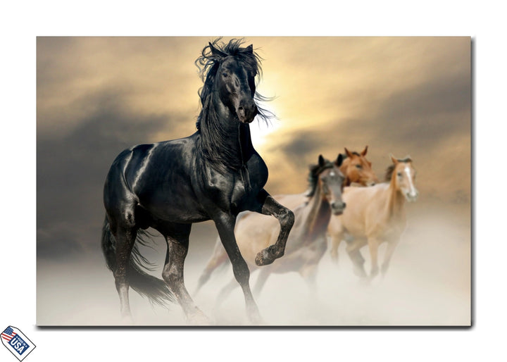 Majestic Stallion - Power and Grace