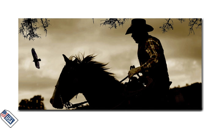 Silhouette of the West - Rider and the Sky