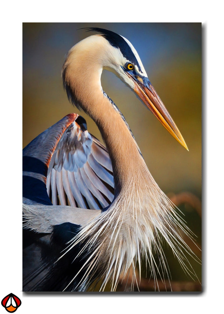 Graceful Heron - Majestic Wildlife Wall Art
