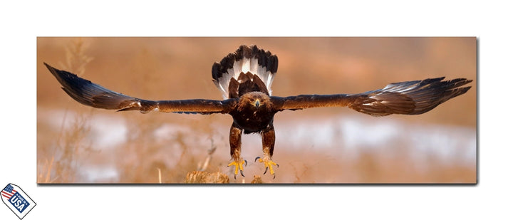 Majestic Flight - Eagle in Action