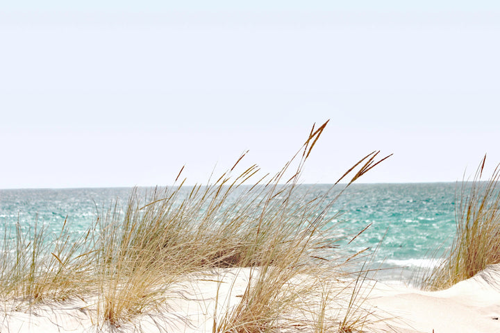 Gentle Breeze - Beach Grass and Ocean Waves
