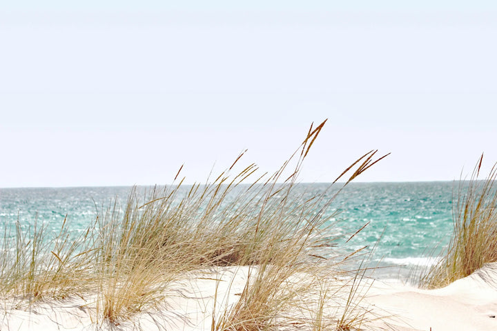 Gentle Breeze - Beach Grass and Ocean Waves