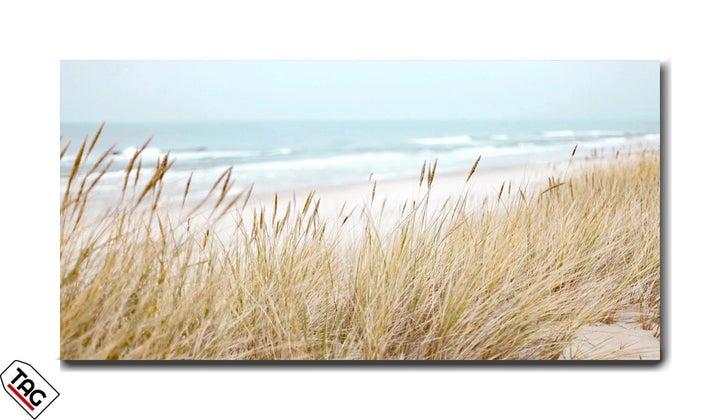 Serene Beach - Gentle Grasses and Rolling Waves
