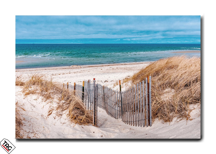 Coastal Pathway - Premium Wall Art