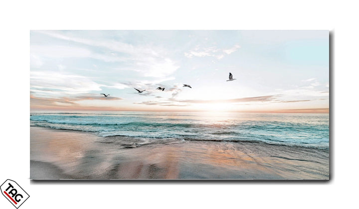 Seaside Serenity - Birds Soaring Over Calm Waves