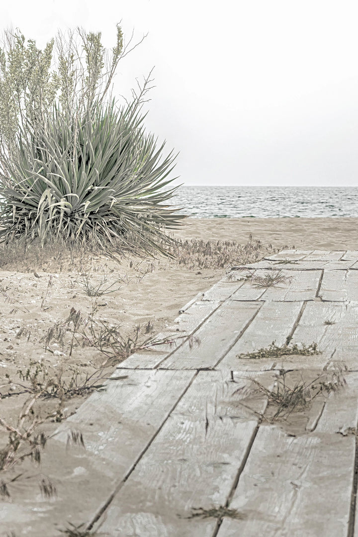 Seaside Pathway - Premium Wall Art