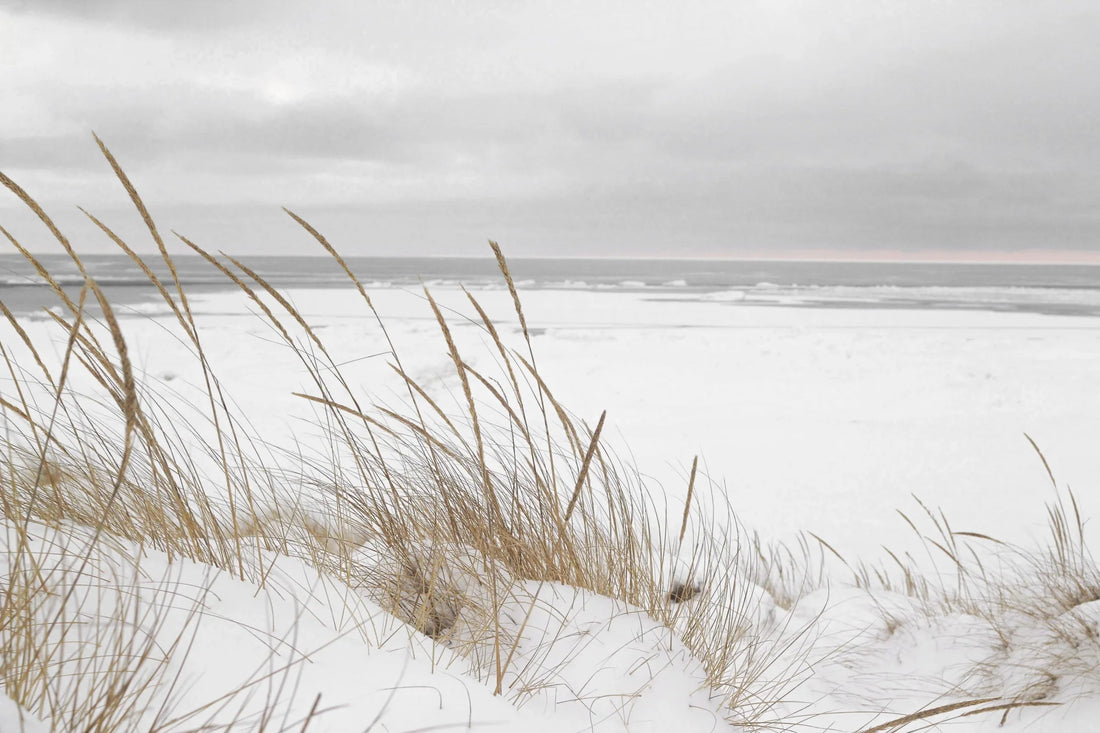 Winter Seaside Escape - Snowy Beach Serenity