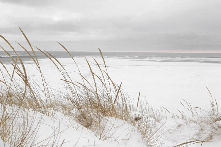 Winter Seaside Escape - Snowy Beach Serenity