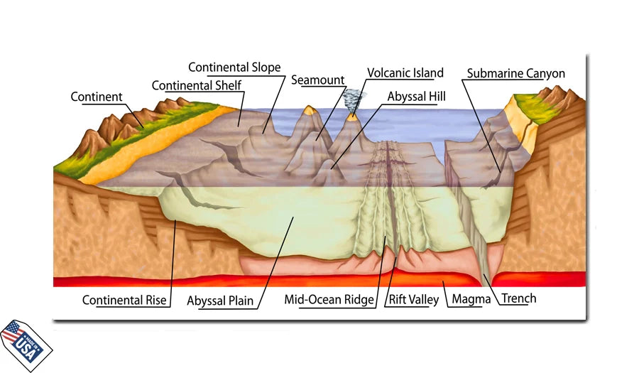 Ocean Floor Geology - Educational Wall Art