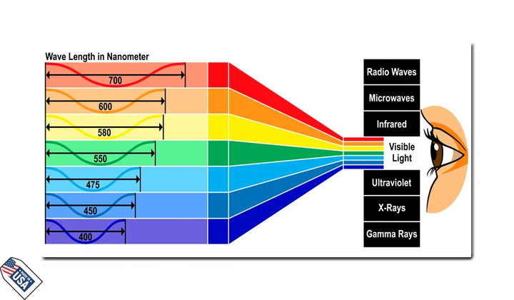 Electromagnetic Spectrum - Educational Wall Art