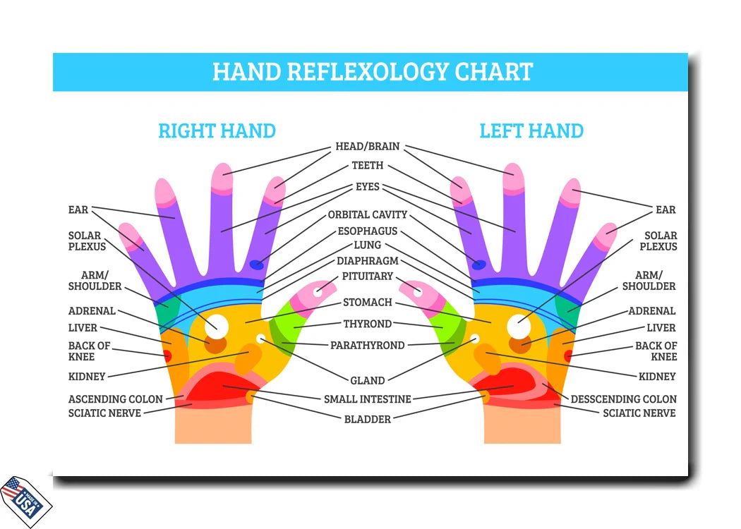 Hand Reflexology Chart - Mapping Vital Reflex Points